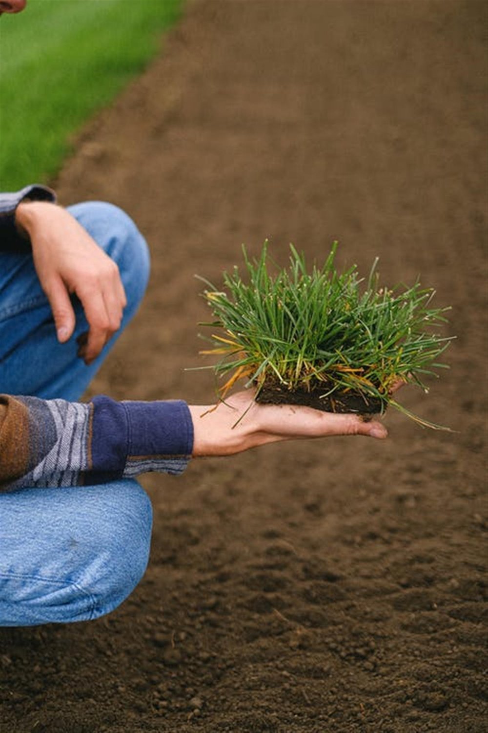 INDEPENDENT LANDSCAPING CONTRACTOR IN CWMBRAN