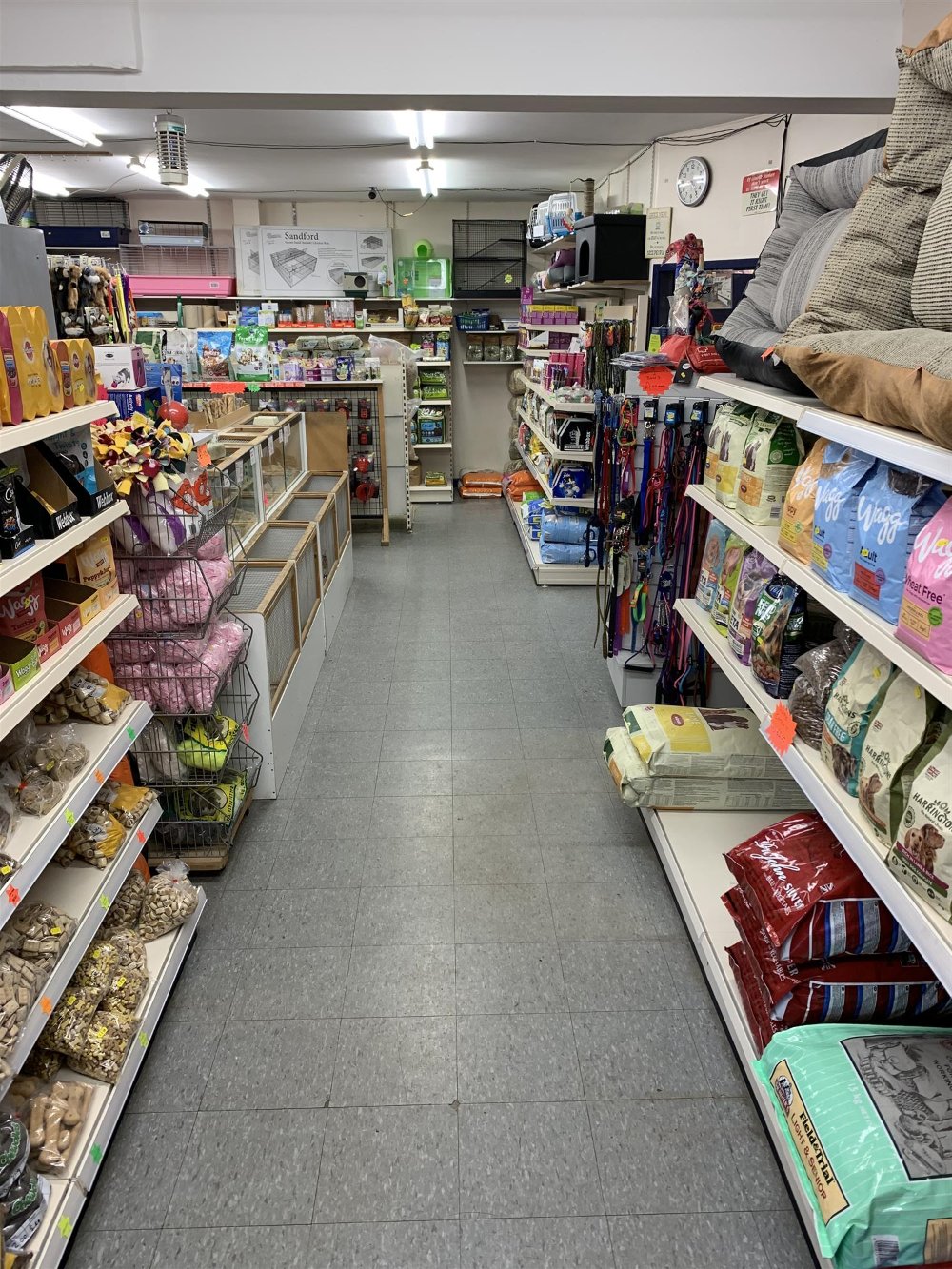 LIVE PETS & SUPPLIES EMPORIUM IN YORK SUBURB