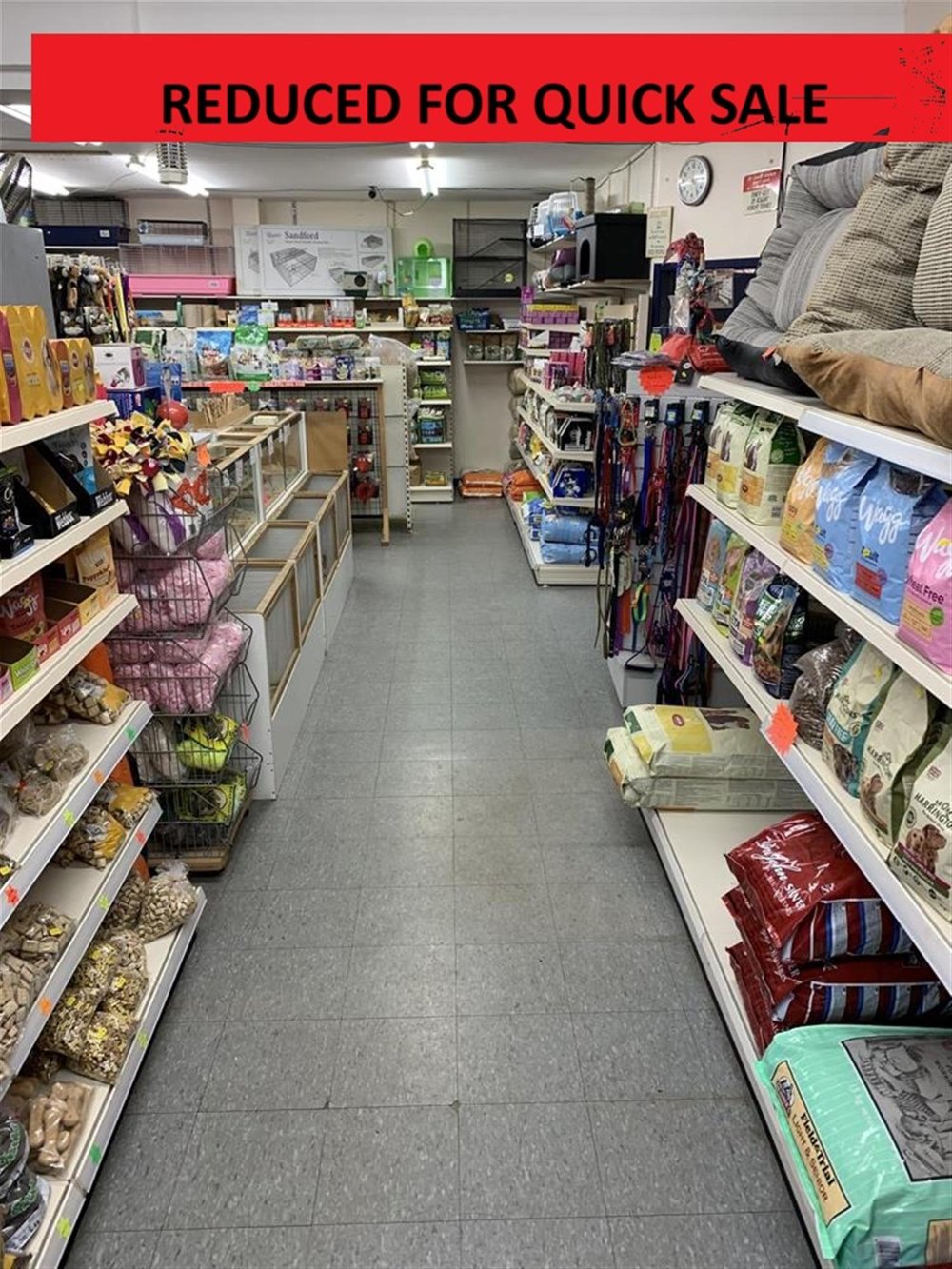 PET SUPPLIES & ACCESORIES busy trading locality YORK